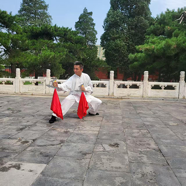 刘通九先生拳照